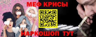 шишки Кандалакша