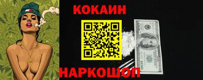 шишки Кандалакша