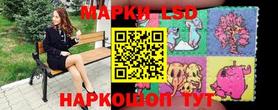 шишки Кандалакша