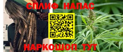 шишки Кандалакша