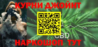 шишки Кандалакша
