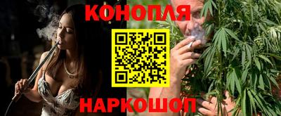 шишки Кандалакша