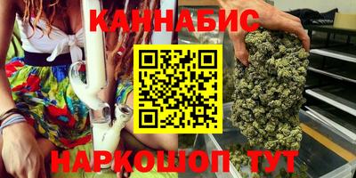 шишки Кандалакша