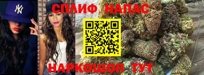jwh Камышлов