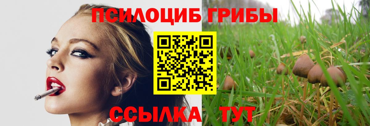 Псилоцибиновые грибы прущие грибы Ногинск